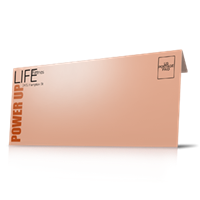 Envelopes - Business 4 Color